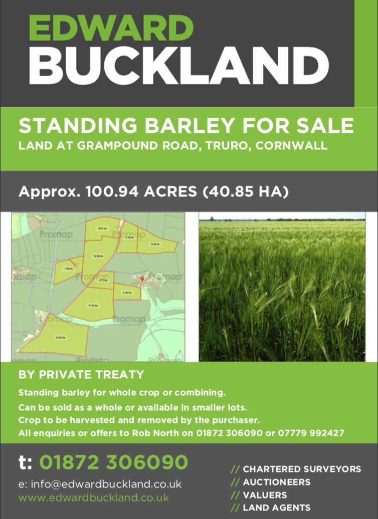 Edward_Buckland's tweet photo. In need of more barley??👇

Local, Good Quality Standing Spring Barley For Sale 🌾🚜👇 https://t.co/M9zgBxS6Tg