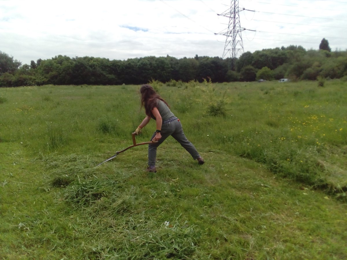 Community Haystacks tweet media