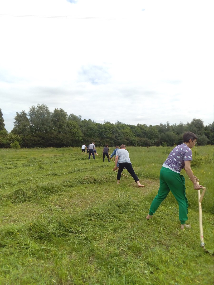 Community Haystacks tweet media