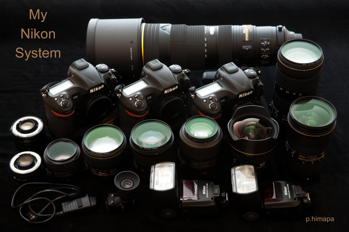 p.himapa tweet media