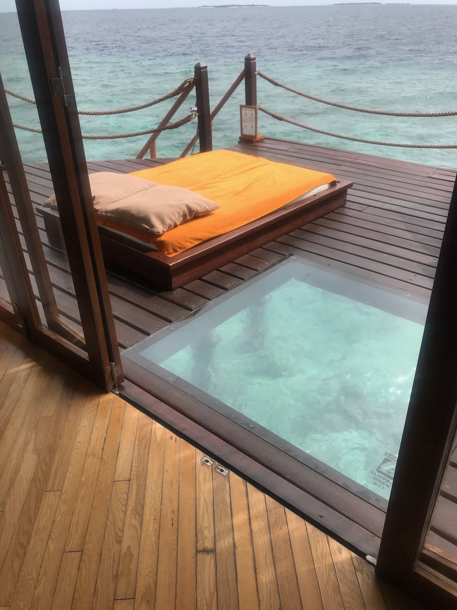 ebomc's tweet photo. Just another day in paradise🏝🌞🍺#justchillinintheMaldives https://t.co/9lj7ghxl1C