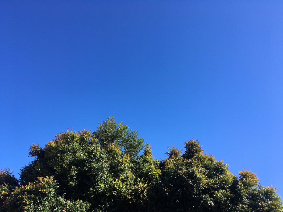 KymbaCahill's tweet image. People spend $$$ travelling to destinations for skies like this one, and we have it in our home town! Perth WINTER, you’re a sensation.  @Mix945Perth #nofilters #dontneedthem