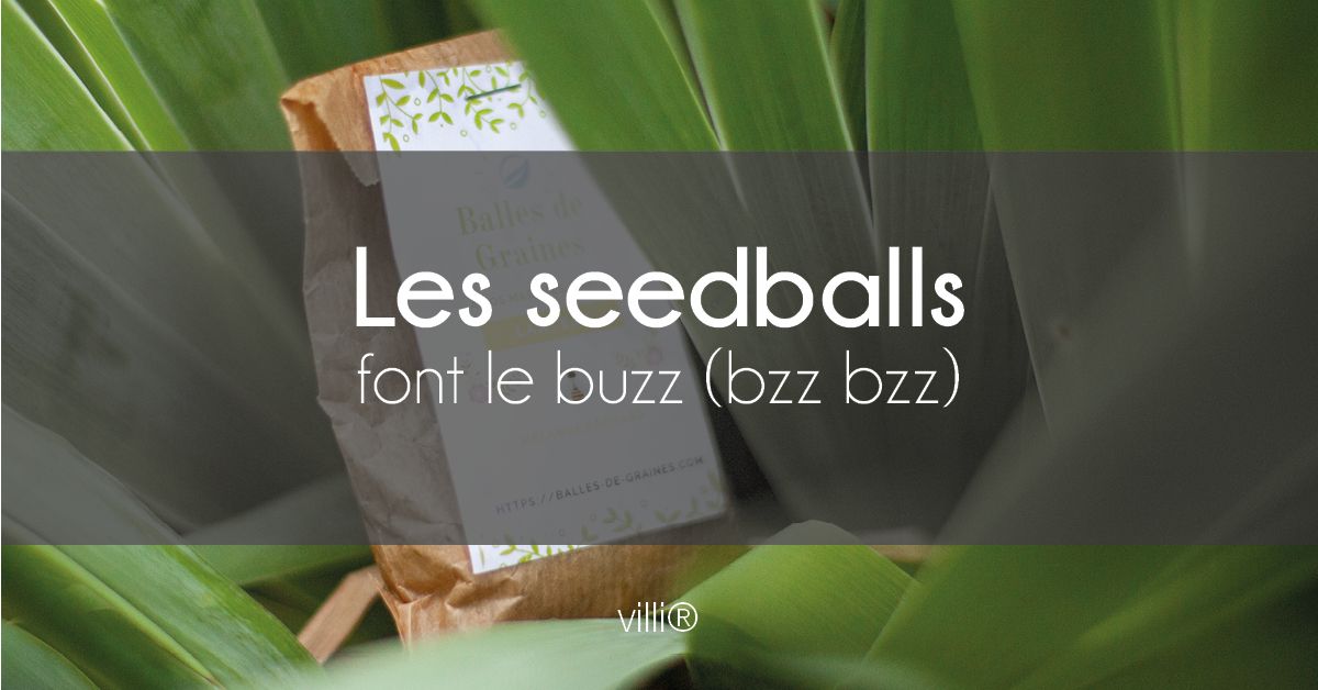 [New post !]📣
Nouvel #article sur l'éco-blog
Découvrez les #ballesdegraines : les jeter dans la #nature est un geste #ecologique !
Alors à vos marques, prêts, #lancez !
buff.ly/2NtAvsX
#blog #ecologie #villiere