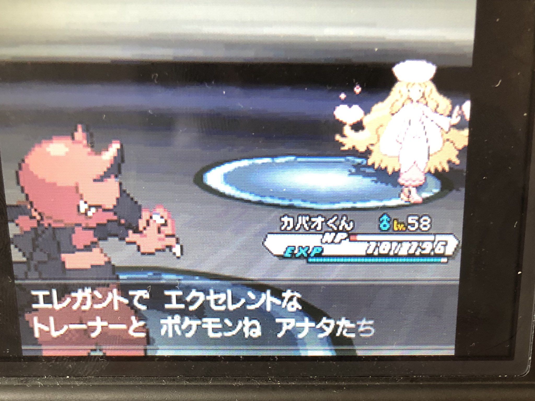 ひ 四天王 カトレアに勝利 噛み砕く連打ゲーwww 特性 自信過剰ワルビアル強いな 相手のポケモン倒すたびにaが上がる T Co Kiurdtggre Twitter