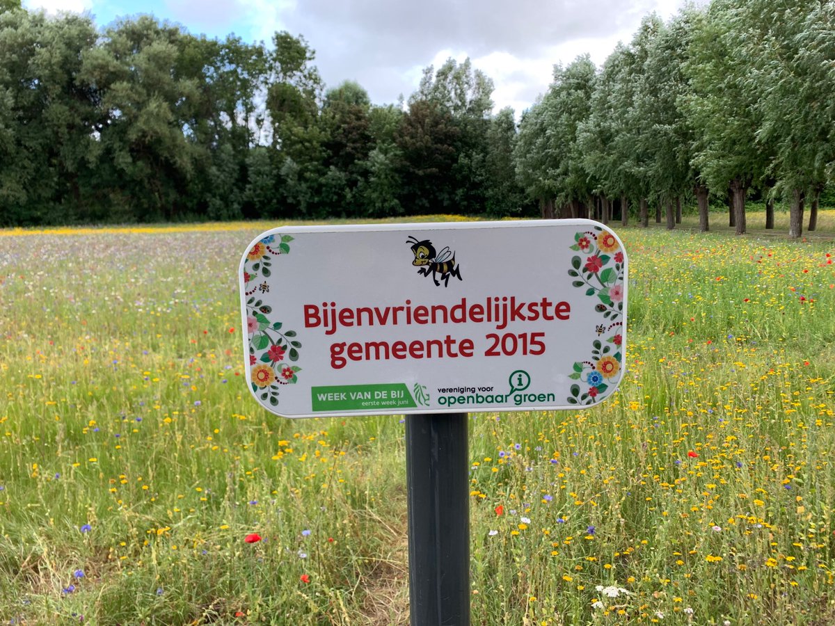axel_steiger's tweet photo. What a pleasure to bike in Zeeland, passing by this lovely flowery meadow and see Knokke-Zoute doing things right ... Walking the talk is what counts... thank you for respecting our beloved nature#Ilovenature https://t.co/jMc0U52urd