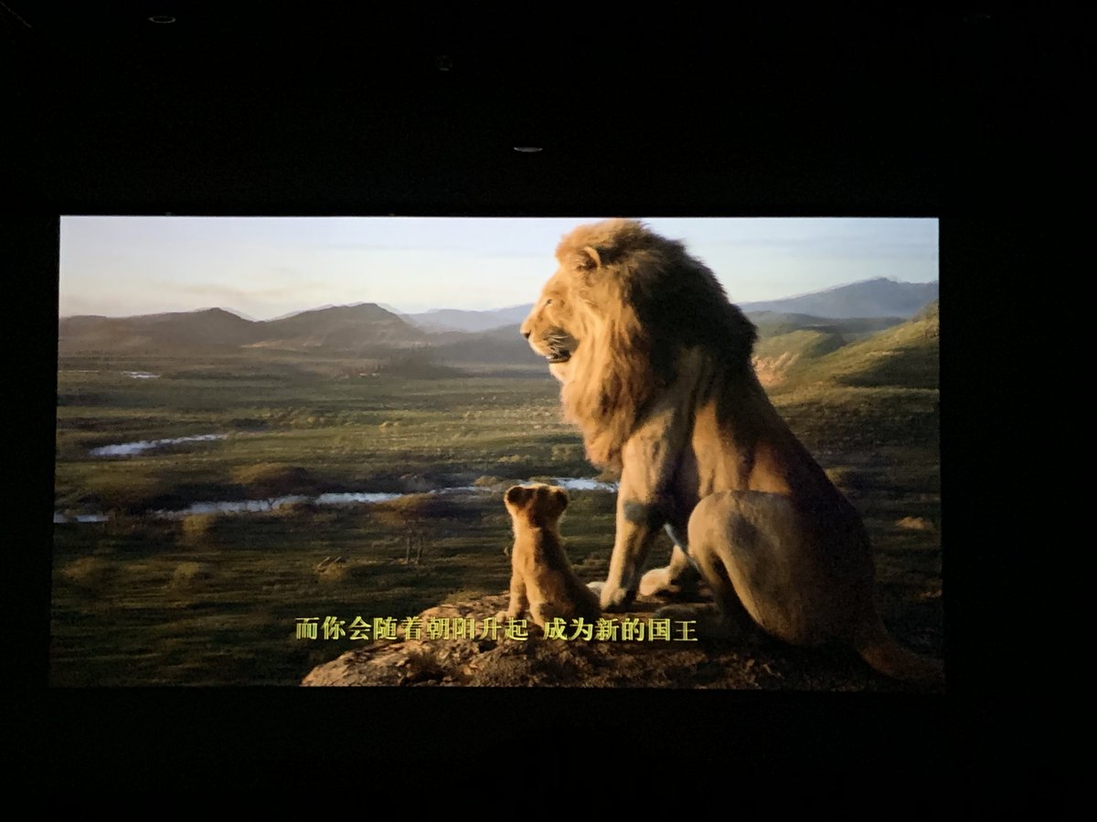 HollyKarl3's tweet photo. The lion king🦁
I cried when his father died https://t.co/4ZqNajLuxO
