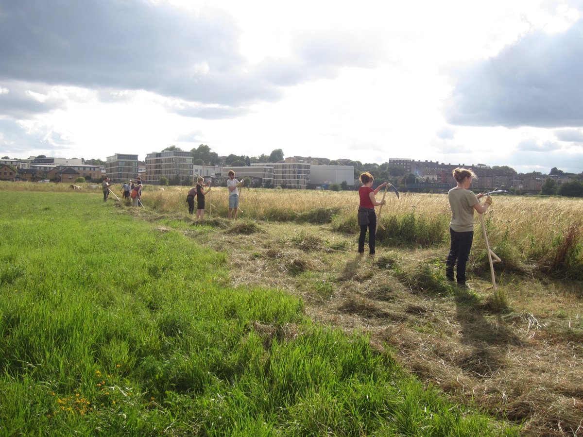 Kathrin Böhm tweet media