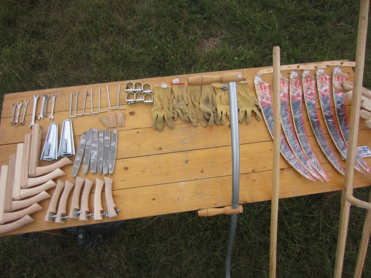 Kathrin Böhm tweet media