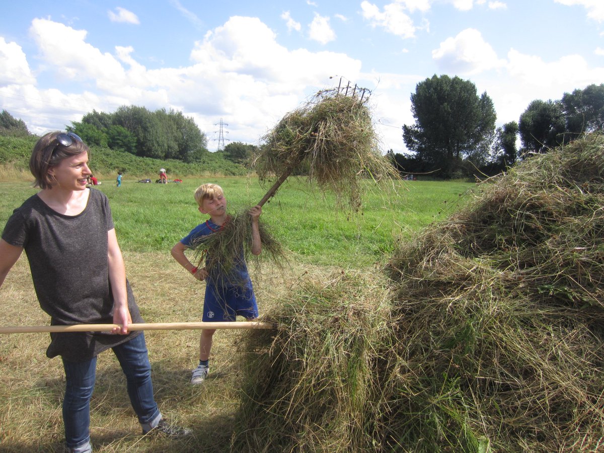 Kathrin Böhm tweet media