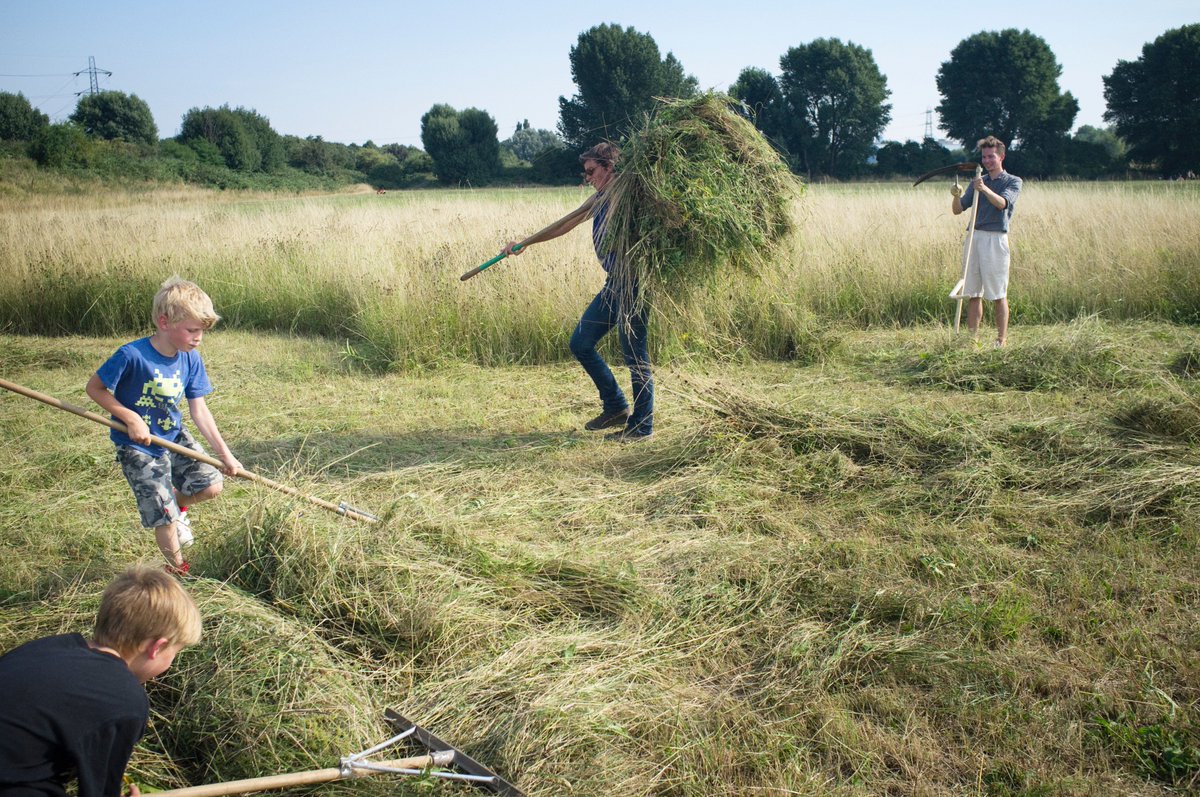 Community Haystacks tweet media
