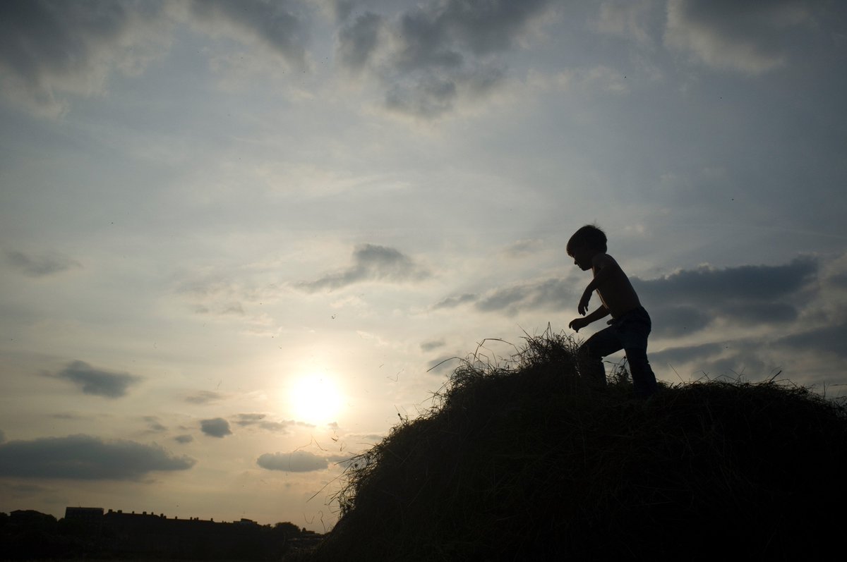 Community Haystacks tweet media