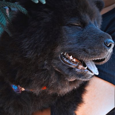 shiriru5's tweet photo. #NewProfilePic https://t.co/BqG3jzC6U7