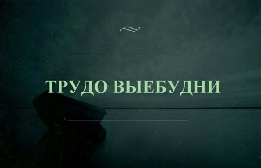Смешные картинки на тему трудовых будней, веселого