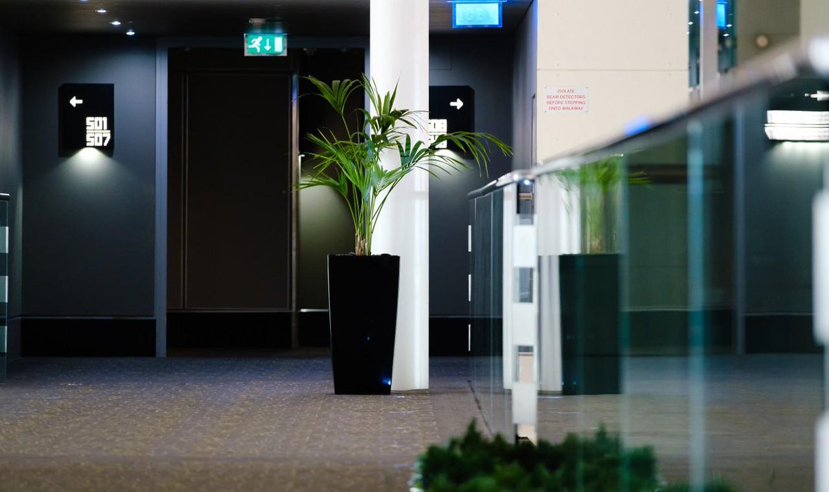 Planten zijn een kleine toevoeging, maar brengen zoveel voordelen met zich mee. De productiviteit gaat omhoog en ziekteverzuim omlaag. #planten #voordelen #productiviteit #groen #palmboom #palm #plants #energie #green #vakantie #nature #ziekteverzuim #vitaliteit #kentiapalm