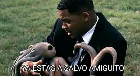 Ver imagen en Twitter