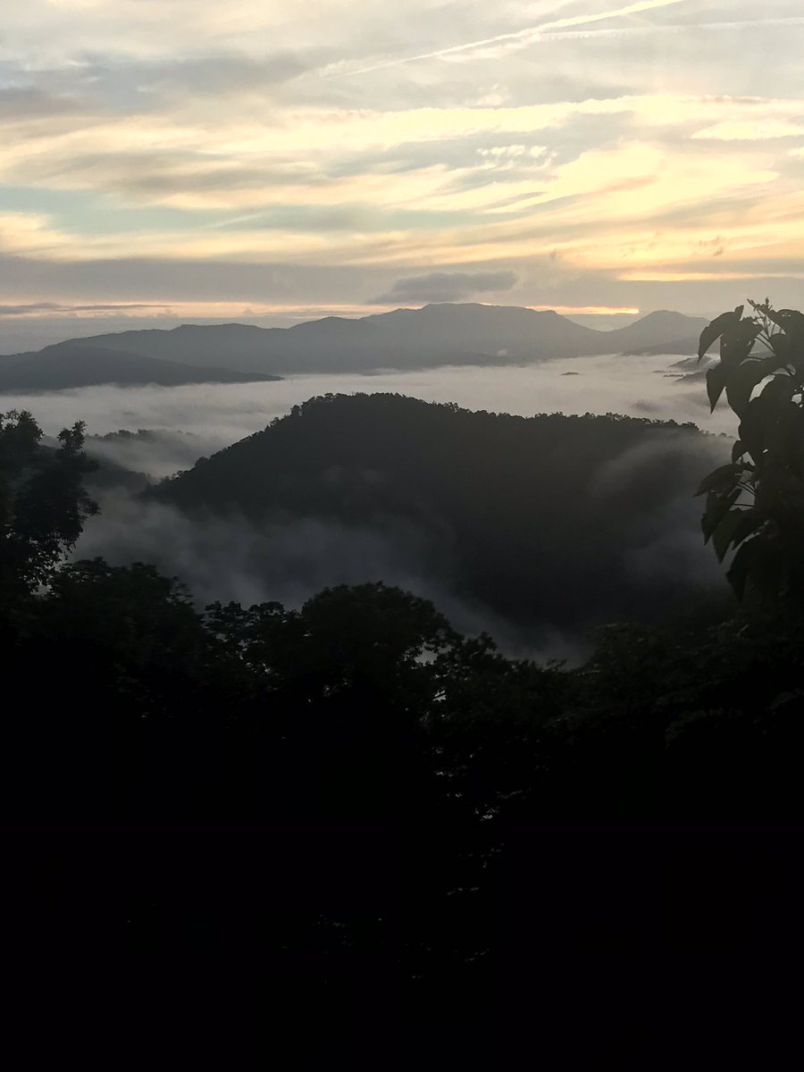 This is from our porch vacy2019...not sure if we’ll be making it back to the Lou!