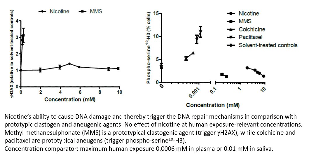 3/3. Indeed, genotoxicity (micronuclei) observed at concentrations (Point of departure = 3.94 mM) several orders of magnitude above maximal human exposure (0.6 µM in plasma, 10 µM in saliva).