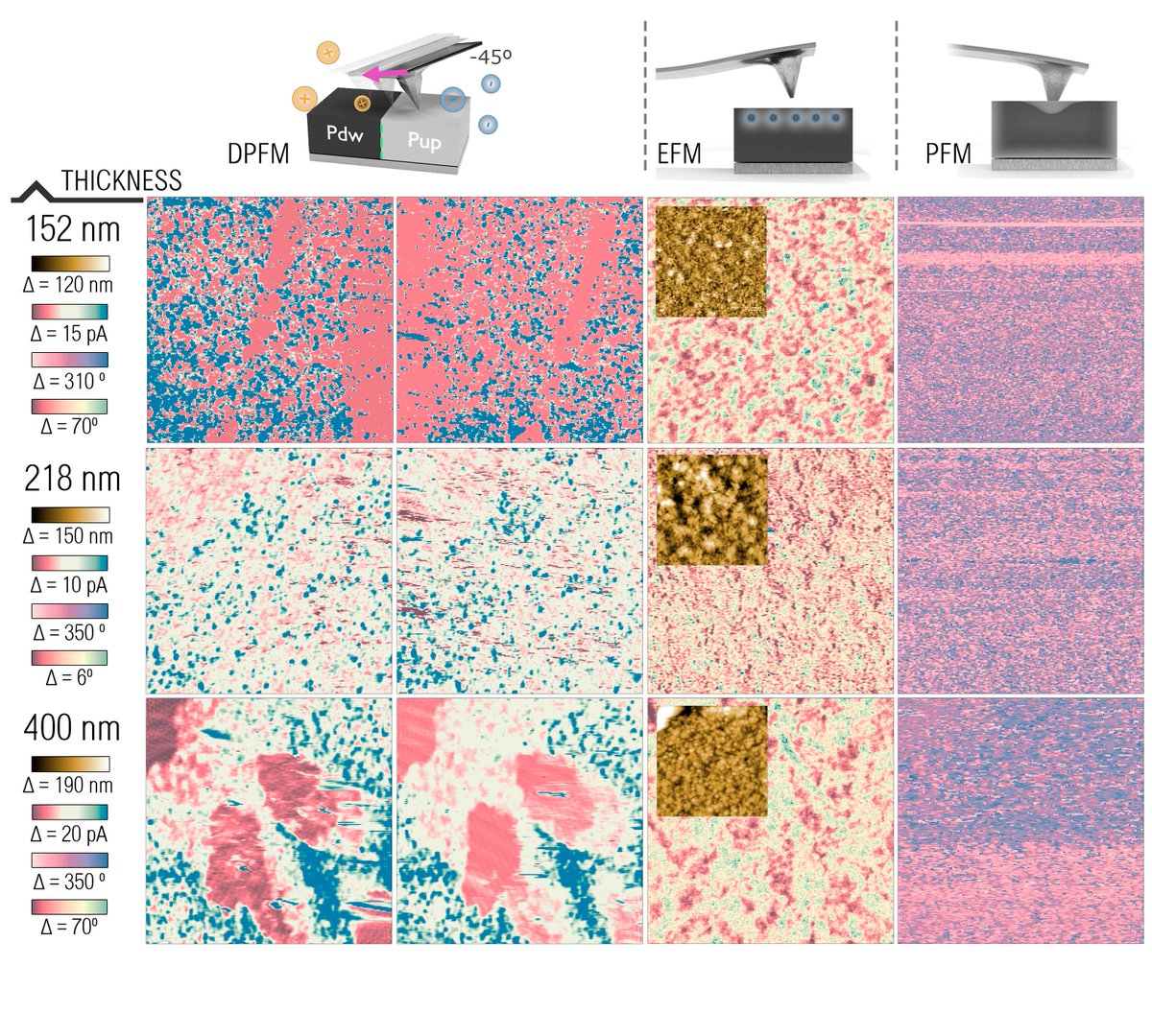 icmabCSIC's tweet image. &quot;Now we know that they are not #ferroelectric. We will have to keep looking for the answer.&quot; The technique used to elucidate the non-ferroelectricity of lead halide perovskites is #DPFM (direct piezoelectric force microscopy) technique, patented by @icmabCSIC researchers in 2017.