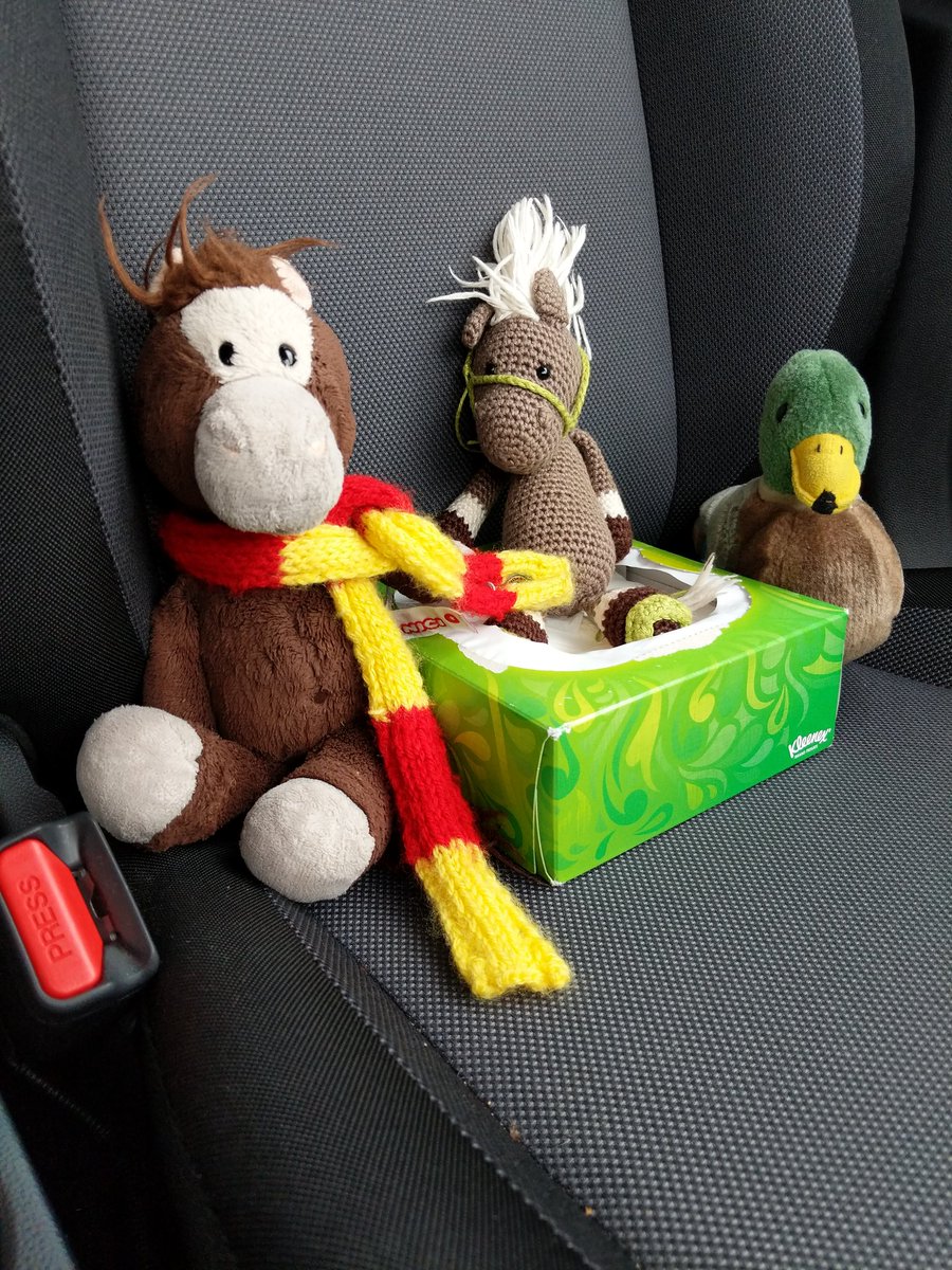 Ooh I'm with @ReisePferdich and Zuppi and we are in the car.  There is also a suitcase in the boot..we might be going somewhere ☺️