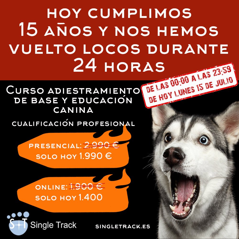 SingleTrackBcn's tweet photo. https://t.co/UfGpuSKvds