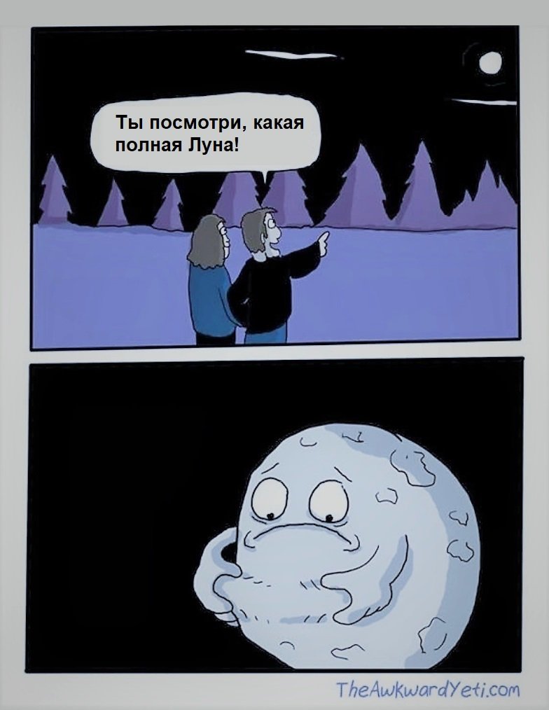 Луна прикольные картинки с надписью, смешные животные фото