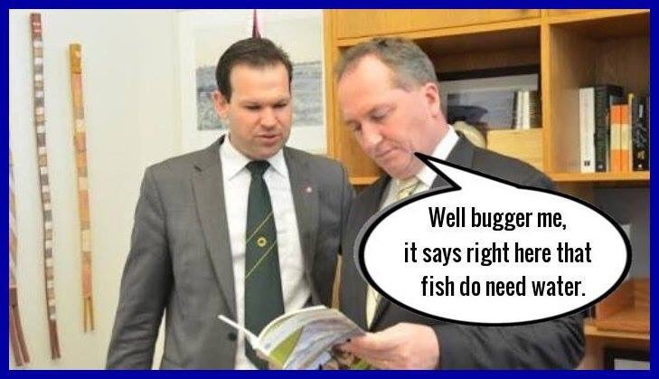 L_DeWeaver's tweet photo. #Coalition & #Nats are #EnvironmentalVandals especially when it comes to our precious #Rivers #WaterIsLife #SaveTheMurrayDarling https://t.co/5EGrVPuYNy