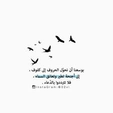 aamr40944's tweet photo. #صباح_الخير
بوسعنا تحويل الحروف الي كفوف💕
إلي أجنحه تطير وتعانق السماء❤
فلا تتردوا بالدعاء👐 https://t.co/BYjrTLQ2nD