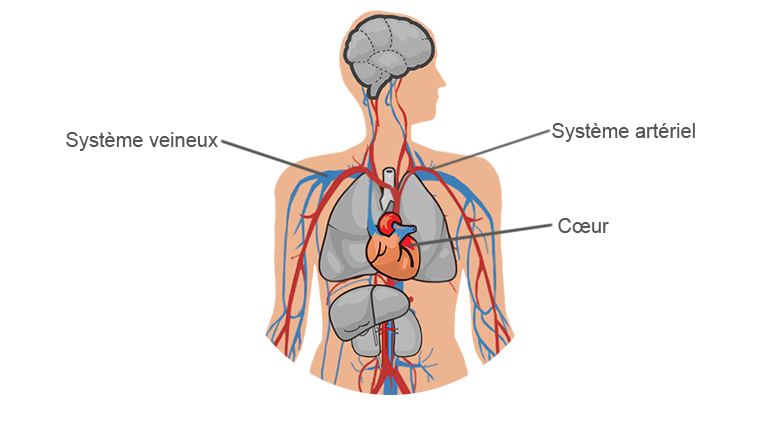 Health4P's tweet photo. Nos graphistes illustrent tous les contenus produits pour offrir plus de lisibilité. Chaque information donnée est ainsi accompagnée d'un schéma explicatif pour faciliter sa compréhension. 
#Sante #startup #Health #Telemedicine #FrenchTech #TransfoNum https://t.co/kMcnlg4Rec