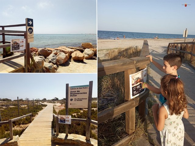 El equipo de información de #SalinasSPedroPR coloca en restaurantes, edificios públicos y accesos a playas información sobre las campaña #TerritorioTortuga y <a href="/carettaalavista/">Caretta a la Vista!</a> ¿Sabes qué hacer si este verano 👀 que una #tortugaboba intenta anidar en nuestras costas 🐢🌊🐾🥚? ☎️112