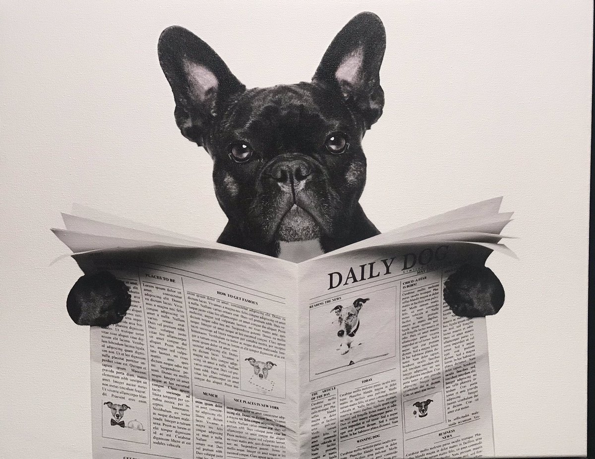 Scott Walker Scottwalker Nz Twitter