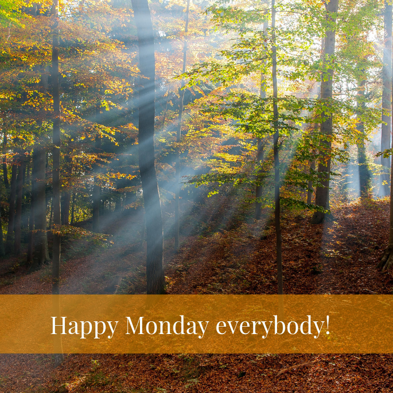 Good morning to all our friends and followers!

We hope you all had a fantastic, summery weekend! ☀️