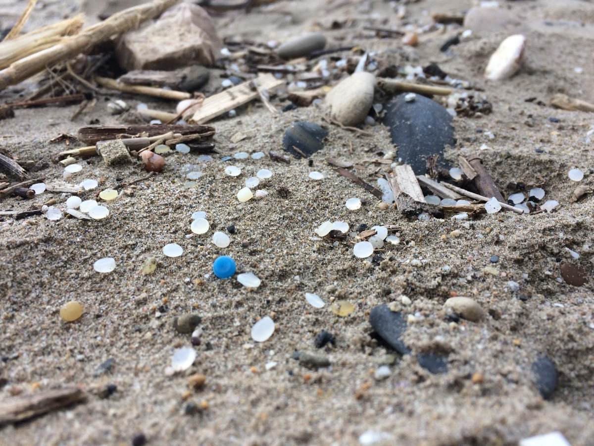 PCEP on Twitter "Congratulations! PCEP this important step by