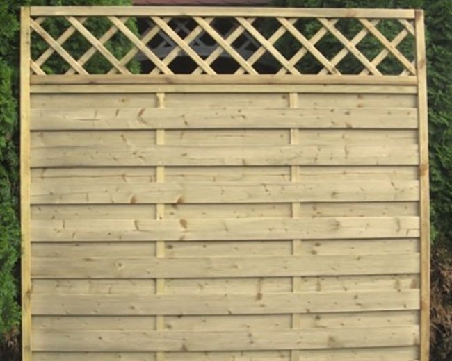 Websters Timber tweet media