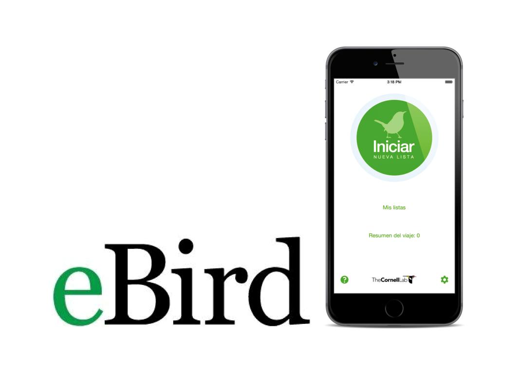 FelipeGlez_SEO tweet media