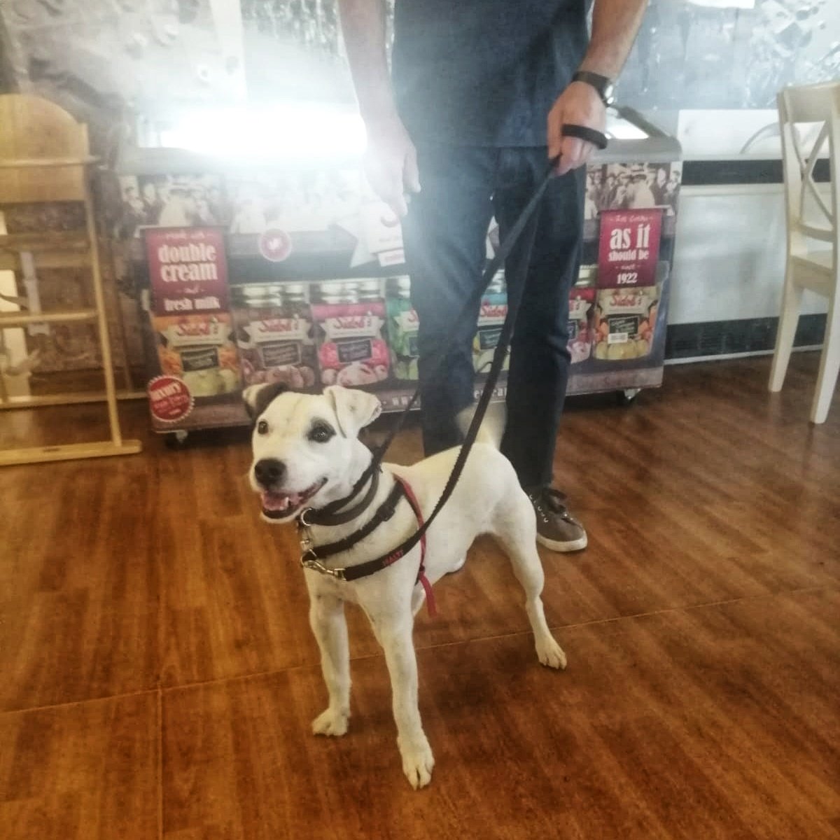 Aneurin Leisure tweet media