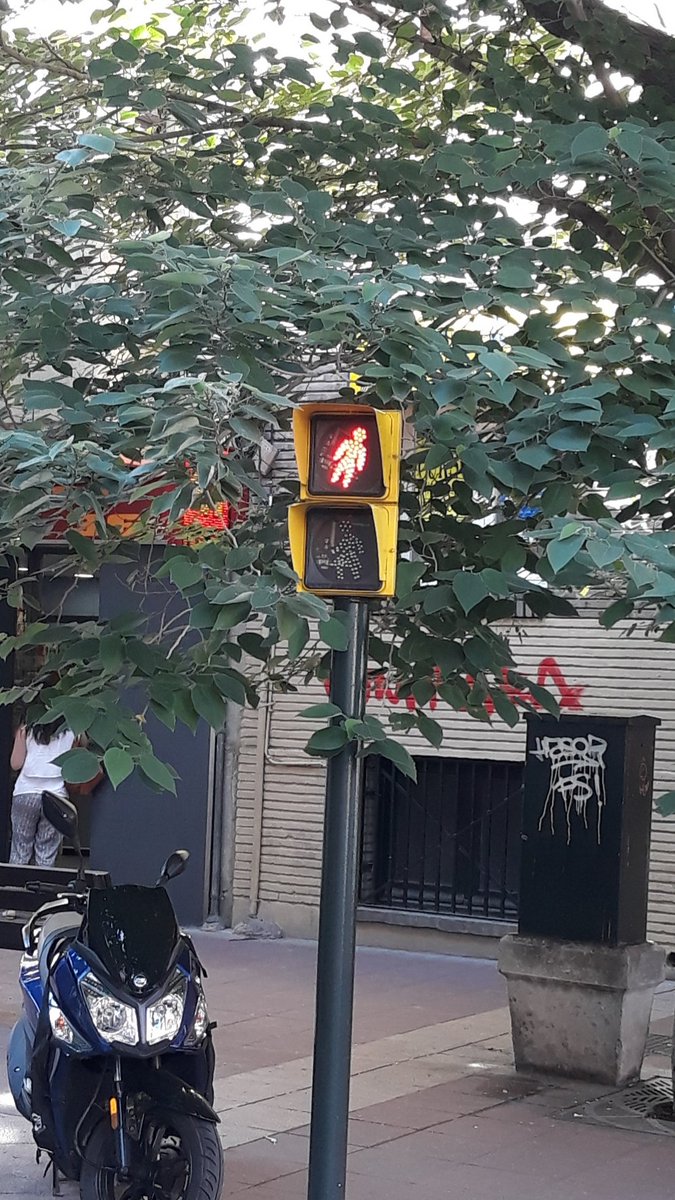 samuplay80's tweet photo. En zaragoza centro, ya tenemos semáforos para peatones borrachos. 🤣🤣🤣 https://t.co/7sGQ9Tfbu6