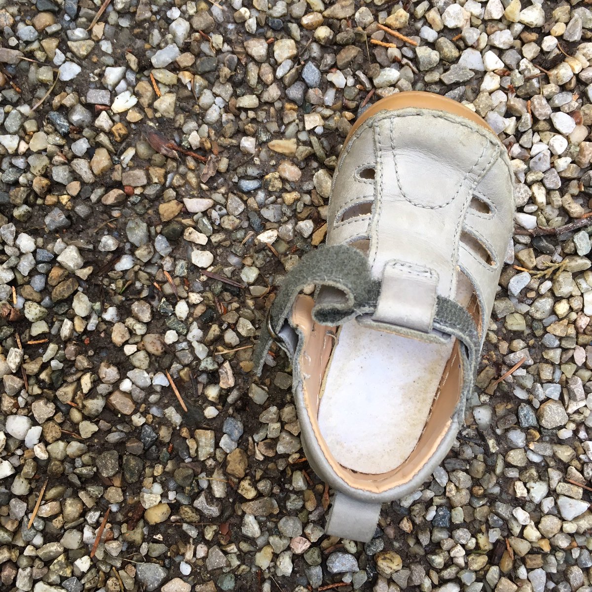stadtkind's tweet photo. Falls jemand über den passenden linken Schuh stolpert ... #aschenputtel hat ihn in @stadtwien #1040 #wieden verloren #lostshoe #mitkind https://t.co/I0JRxjNS6h