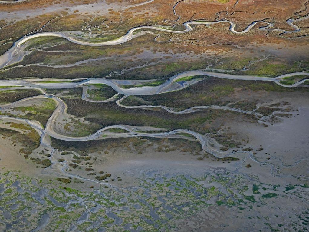 Naturwunder Priel. Stimmt ab beim Wettbewerb „Deutschlands Naturwunder 2019“. Thema: wilde Bäche und Flüsse. Und das #Wattenmeer stellt seine  wunderbaren Wasserläufe (Priele) zur Wahl. Sie durchziehen Watt und Salzwiesen. @SielmannStiftg sielmann-stiftung.de/naturwunder/?n…
Bild: N. Hecker