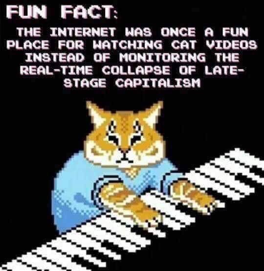 XenonKitty's tweet photo. #catvideos #latestagecapitalism https://t.co/egPjLvUsW7