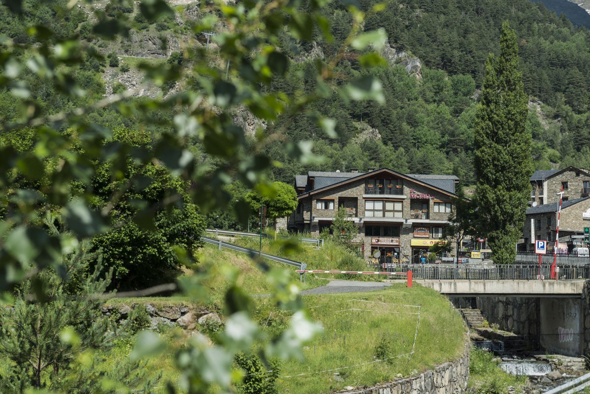 Group Sant Moritz tweet media