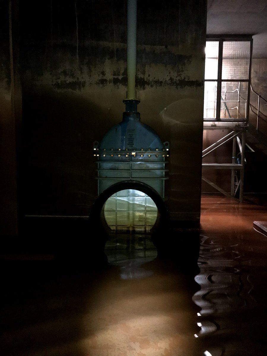 Hardy Services 💧 tweet media