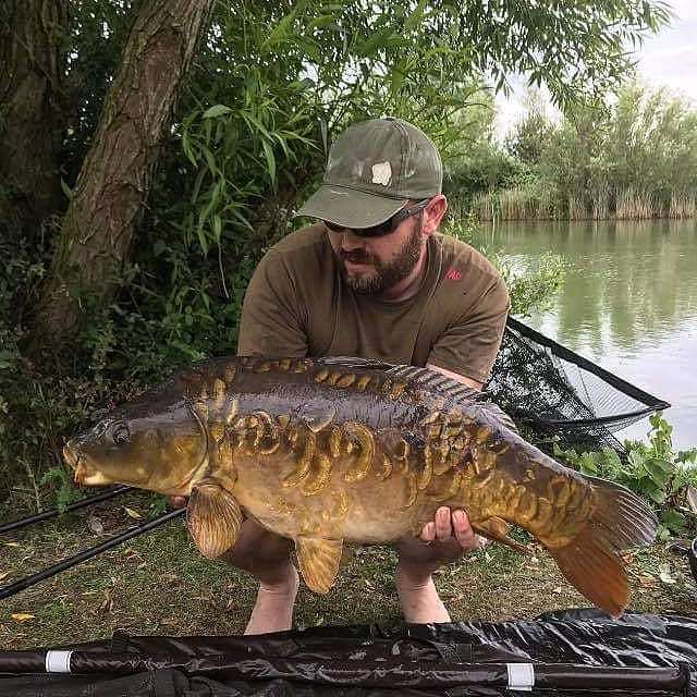 A stunning mirror at 21.10lbs for Michael #mirrorcarp #carpfishing #carplake #carp #crowsheathfishery #carplife #fishing🐟 #fishing #fishing🎣 #fishingislife #fishinglife #fishinguk #dayticketfishing #dayticket #essex ift.tt/2xLD27f
