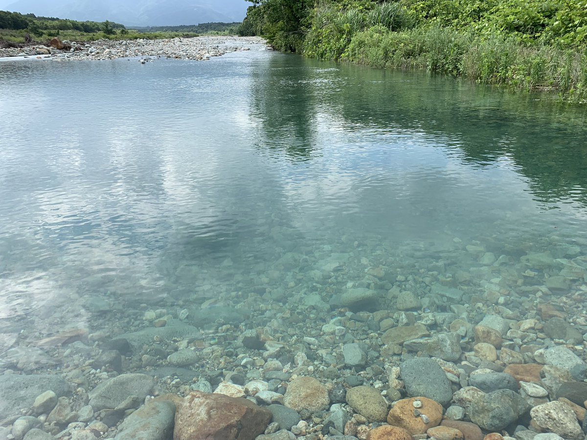 きれいな川 きれいな川