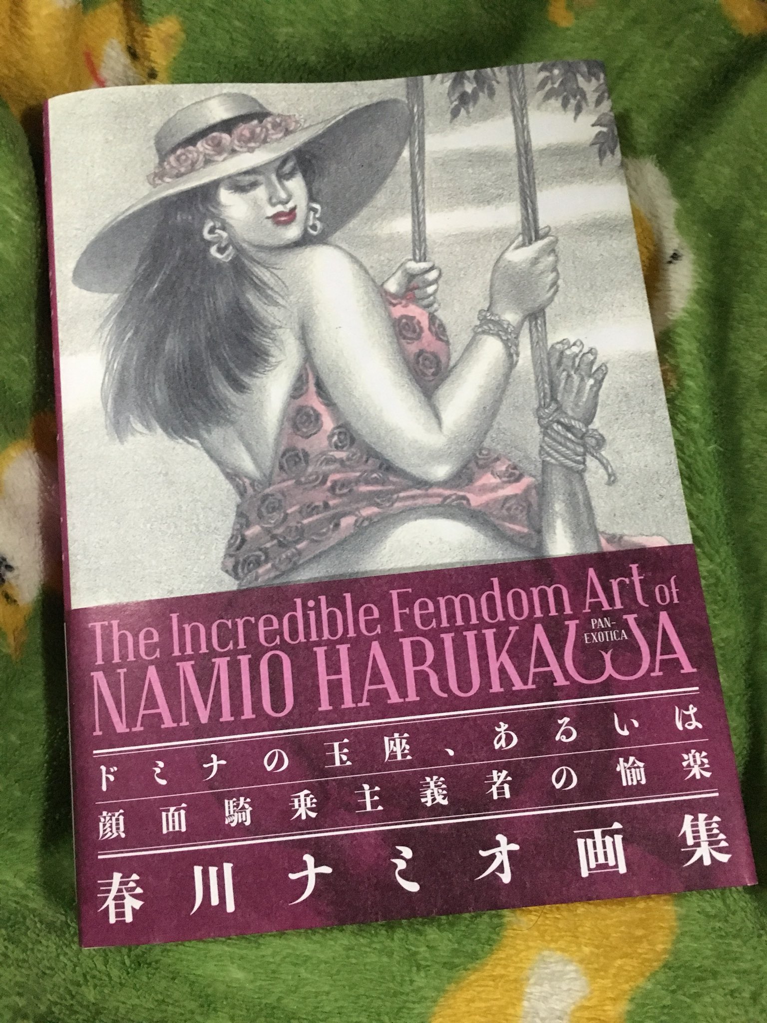 春川ナミオ 画集1&2 namio harukawa artbook 春川ナミオ画集 痴人の愛