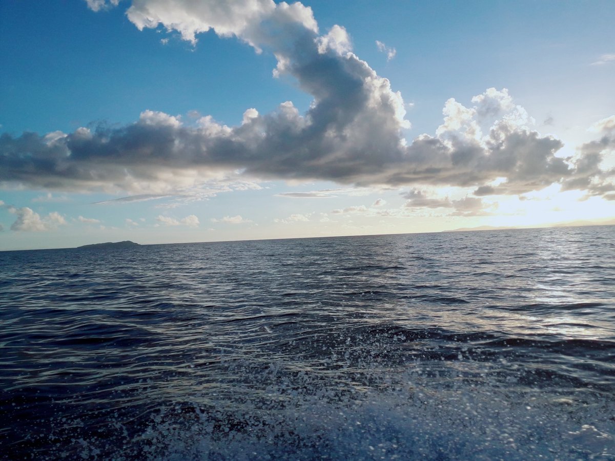 nabulivula's tweet image. #beqa
#favshots4theday