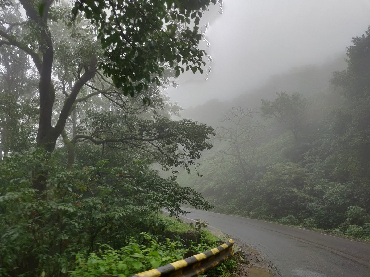gshny's tweet photo. The Chorla Ghat which is the gateway to Goa from Belgavi side was amazing.. The rains had stopped but it was still foggy! #GshnyTravels #GoaChapter https://t.co/bymONqqWDt