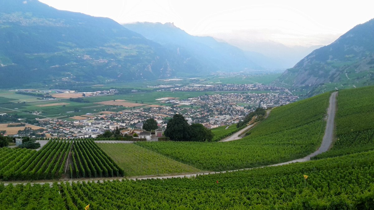 WeissbrodtLab's tweet photo. Wine & Water Resource Recovery Facility #W2RRF #LandscapeIntegration @valaiswallis https://t.co/ih3G0qSl9X