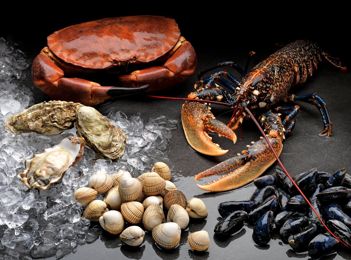 Did you know the #shellfish #industry in #Wales is worth £10.6M? Read more about Wales’ #seafood #industry here: bit.ly/2Ngo2IS  

#FDWIB #WelshSeafood #WelshFish