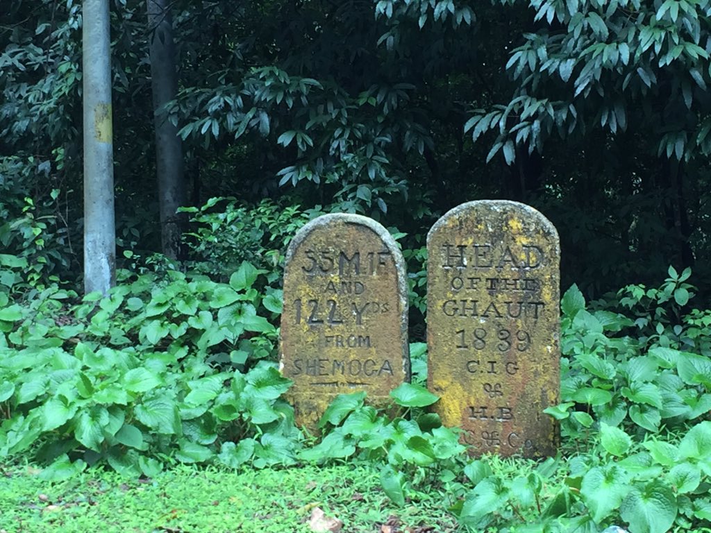 bijoyv's tweet image. Slow monsoon. Slow life.
Agumbe feels.
#Monsoon2019 #MonsoonTravels