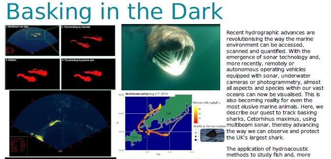 For #SharkAwarenessDay yesterday, I share some work we did on the #baskingsharks a few years back which still motivates me to keep at it #BaskingintheDark #sharks #marineresearch @SharkTrustUK hydro-international.com/content/articl…